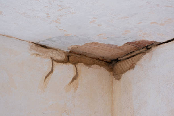 Water damage restoration experts in CA