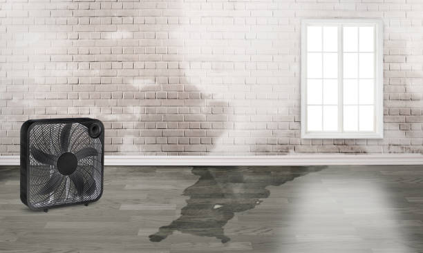 Best Emergency water damage restoration  in Durham, CA
