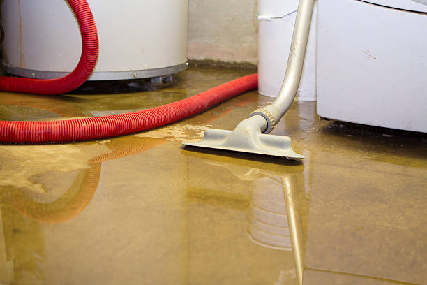 Best Carpet water damage restoration  in Durham, CA
