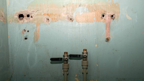 Best Water damage restoration near me  in Durham, CA