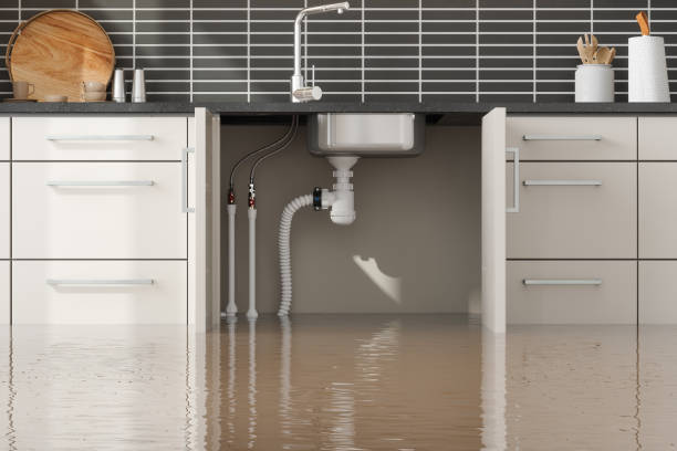 Best Water damage restoration near me  in Durham, CA